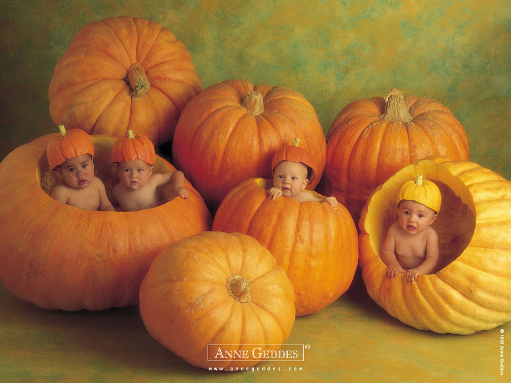 anne_geddes_08