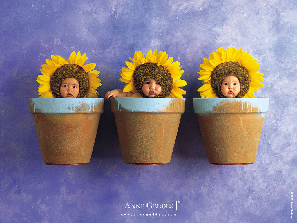 anne_geddes_12