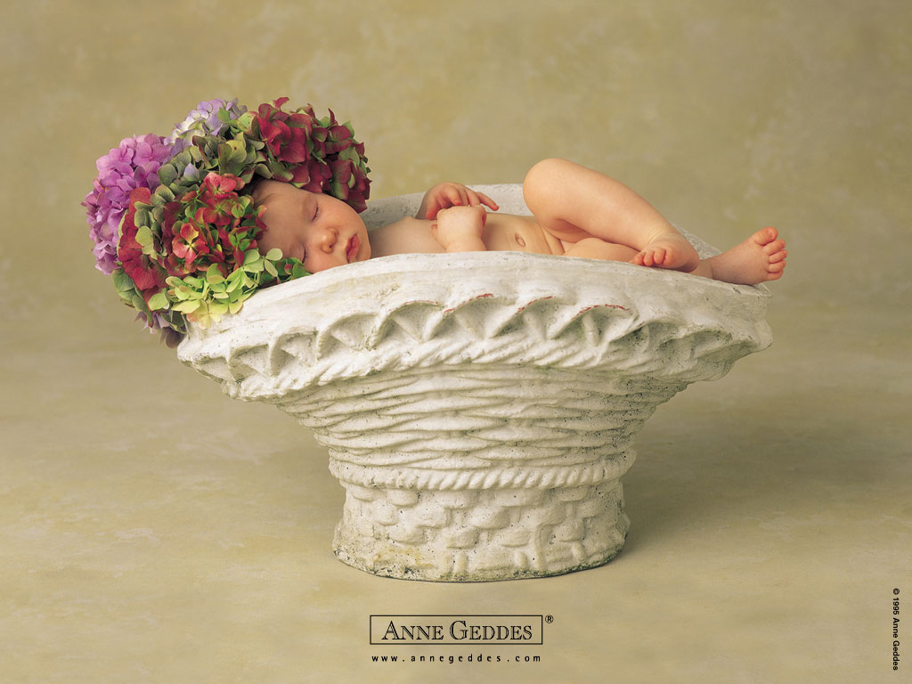 anne_geddes_14