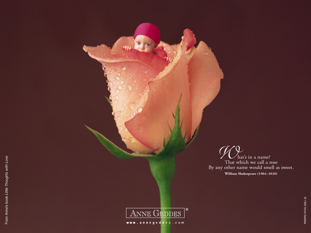 anne_geddes_23